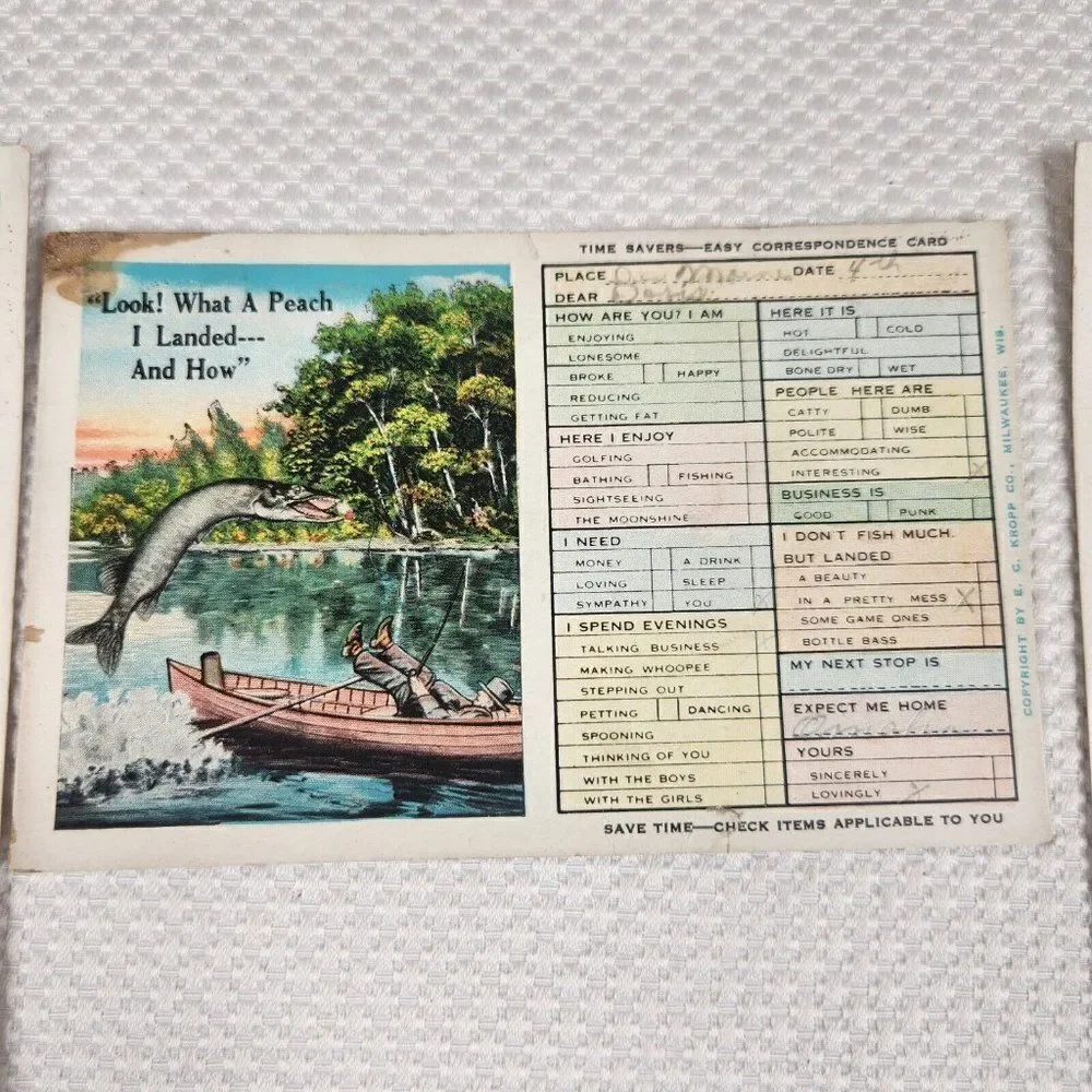 Vintage Postcard Busy People's Correspondence Card Lot Bull Deer Fish Humor Fun